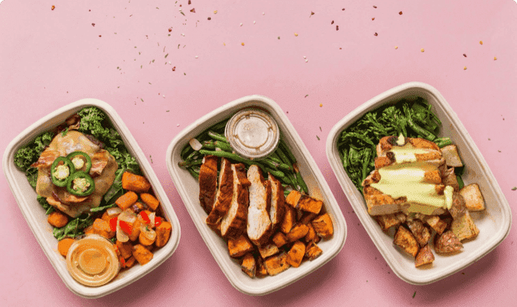 Vibrant Meals